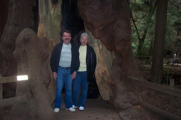 Murray Wood 4.JPG